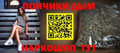 шишки Заводоуковск