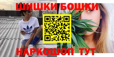 шишки Заводоуковск